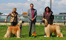 Clubschau Rifferswil